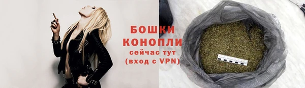 молекула духа Михайловск