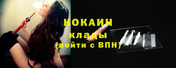 молекула духа Михайловск