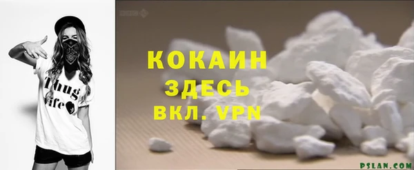 молекула духа Михайловск
