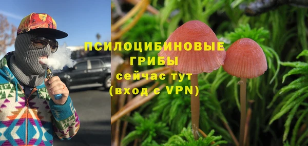 молекула духа Михайловск