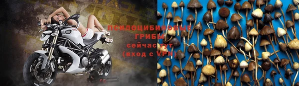 молекула духа Михайловск