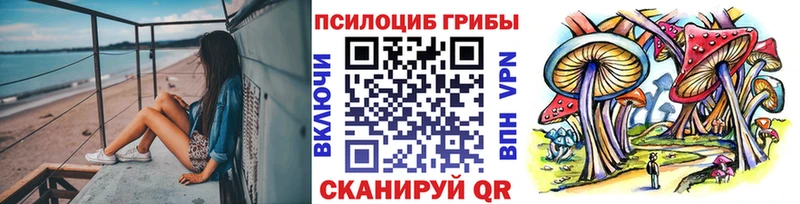 Галлюциногенные грибы прущие грибы  Афипский 